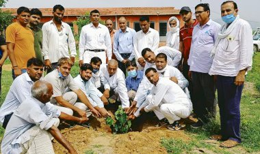 उपखंड अधिकारी संतोष कुमार मीणा की अध्यक्षता में नालोता विधालय में किया गया पौधारोपण