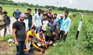 भाजपा कार्यकर्ताओं ने खेल मैदान में किया पौधरोपण