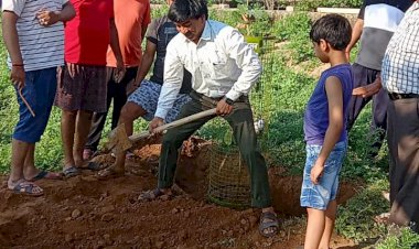अब ऑक्सीजन की कमी ना आए किया सघन वृक्षारोपण