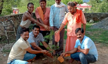 सरपंच मुकेश मंडावरी के जन्मदिन के अवसर पर पर्यावरण संरक्षण के लिए किया पौधारोपण