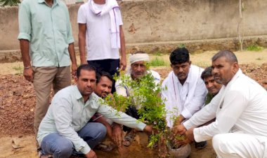 काकरिया पंचायत भवन की चारदीवारी में फलदार पेड़ों का किया  वृक्षारोपण