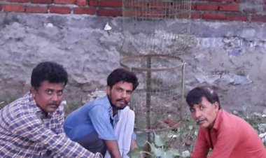 मददगार वेलफेयर फाउंडेशन के जिला अध्यक्ष धर्मेंद्र शर्मा ने लगाए पेड़ पौधे