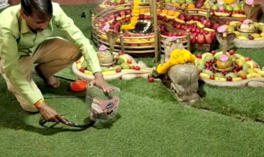 हरणी महादेव मंदिर में शिव दर्शन के लिए आया नाग, भक्तों की लगी भीड़, रेस्क्यू कर जंगल में छोड़ा
