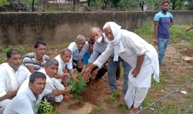 भामाशाह ने ग्रामीणों के सहयोग से विधालय एंव सार्वजनिक स्थानों पर करवाया वृक्षारोपण