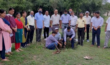 राजकीय महाविद्यालय में पौधारोपण कार्यक्रम हुआ आयोजित