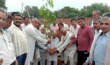 सैनी समाज बर्डोद के लोगों ने किया पौधरोपण कार्यक्रम