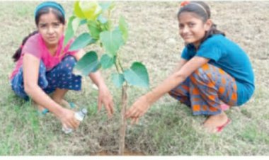 अब नही हो ऑक्सीजन की कमी, बच्चों ने किया पौधरोपण