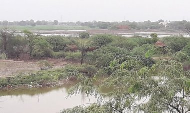 सिंचाई विभाग व प्रशासन की लापरवाही से फिर बनने लगे बाढ़ जैसे हालात