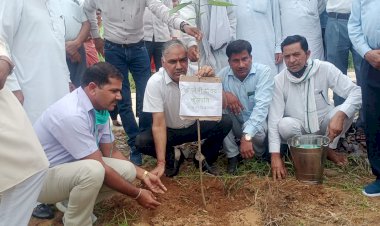 वृक्ष मित्र कार्यक्रम का हुआ शुभारंभ मत्स्य कुलपति ओपी यादव के सानिध्य में कार्यक्रम की हुई शुरुआत