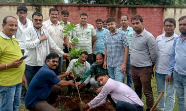 विद्युत जीएसएस पर किया गया पौधारोपण