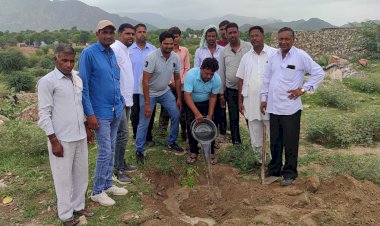पचलंगी के काटलीपुरा सैनी धर्मशाला में किया वृक्षारोपण, सार संभाल का लिया जिम्मा