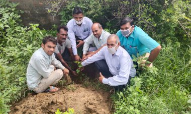 शीलगांव कलां ग्रामीण क्षेत्र में किया गया पौधारोपण