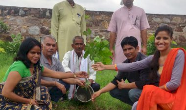 बेटों के जन्म दिवस पर परिवार के लोगो ने गांव के विद्यालय में लगाए 25 पौधे