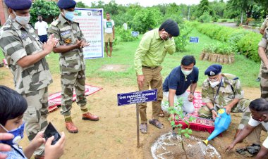 सीआईएसफ एमपीआरटीसी बहरोड कैंपस में लायंस क्लब बहरोड़ रॉयल के द्वारा किया गया वृक्षारोपण