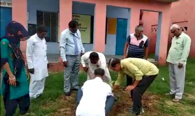 नांगल सालिया सीनियर सेकेंडरी स्कूल में किया गया पौधरोपण