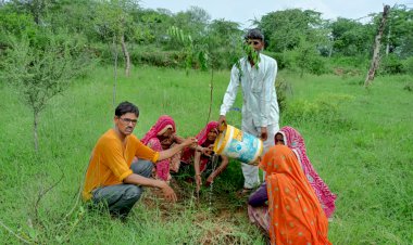 पौधों के रक्षा सूत्र बांध कर प्रकृति को बचाने का चलाएंगे अभियान