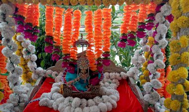 सावन मास में नौगांवा सांवरिया सेठ के दरबार में ठाकुर जी के हो रहे झूले में मनमोहक दर्शन