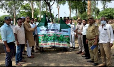 पेड़ है धरती का श्रंगार - टकसालिया