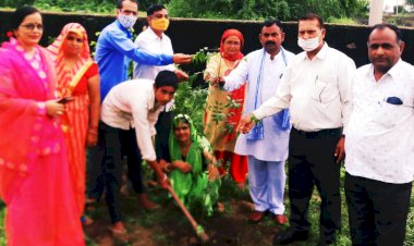 पुर के सीनियर सैकेंडरी स्कूल में किया पौधारोपण