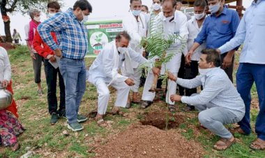 दौलतगढ़ में पौधारोपण कर मनाया वन महोत्सव पूर्व विधायक हगामी लाल मेवाड़ा के नेतृत्व में लोगों ने किया पौधारोपण