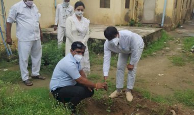 लक्ष्मणगढ़ में कोर्ट परिसर में न्यायाधीशों ने किया वृक्षारोपण