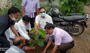एसडीएम के नेतृत्व में पंचायत समिति परिसर पर किया गया'वृक्षारोपण