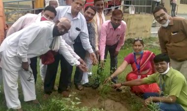 राजकीय उच्च माध्यमिक विद्यालय बगड़ राजपूत के खेल मैदान में लगाए 70 छायादार पौधे
