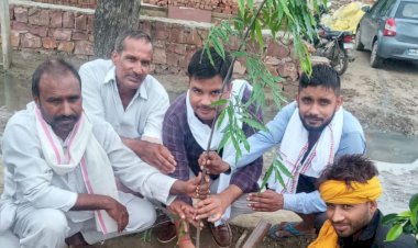 पर्यावरण संतुलन के लिए अधिक से अधिक लगाए पेड़ - सिंह