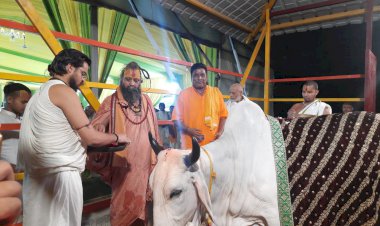 जड़खोर गोशाला पर भजन संध्या का हुआ आयोजन