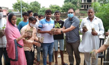 एसडीएम ने घर-घर औषधि योजना के तहत पौधे किए वितरण