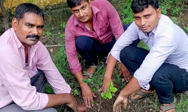 बा-बापू वृक्षारोपण अभियान के अंतर्गत पौधारोपण कार्यक्रम संपन्न