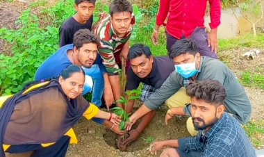 मिलकर चलेंगे हम संस्था ने गाडरमाला मे किया पौधरोपण