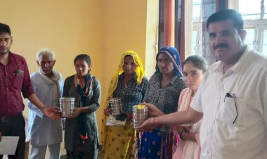 बाजरे की फसल में सफेद लट रोग के नियंत्रण के बताए उपाय
