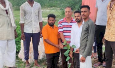 जन्मदिन पर पौधारोपण कर दिया पर्यावरण बचाने का सन्देश