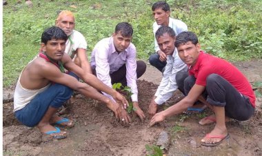 बापू योजना अन्तर्गत देवती राम सागर बांध पर जल संसाधन विभाग द्वारा किया गया पौधारोपण कार्य