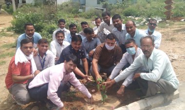 विद्युत वितरण निगम कार्यालय के अंदर  किया गया पौधरोपण