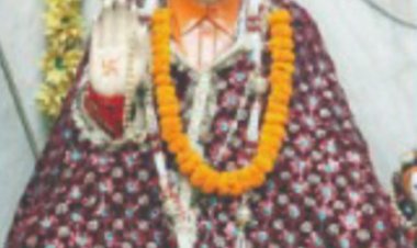 सांई हरिगिर महाराज के 53 वें वर्सी महोत्सव में संतों का लगा मेला