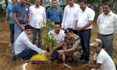 बर्डोद ए़ंव ढीस विधालय के खेल मैदान में लगाए 1100 पौधें