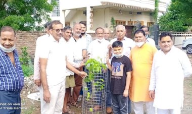 गंगा यमुना लोक समिति द्वारा वृक्षारोपण