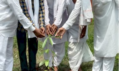 सकट में विश्व आदिवासी दिवस के मौके पर किया पौधारोपण