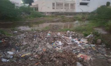 खूबसूरती को लगा लापरवाही का ग्रहण, उजड़ रहे उद्यान