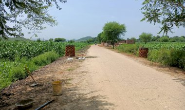 नवनिर्मित सड़क पर वृक्षारोपण के नाम पर पीडब्लूडी विभाग स्वयं कर रहा अतिक्रमण
