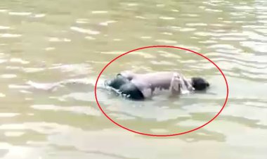 सिलीसेढ़ बांध में तैरती मिली हाथ कटी लाश