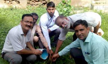 पेड़-पौधे मानव जीवन का आधार-राजकुमार आसीजा