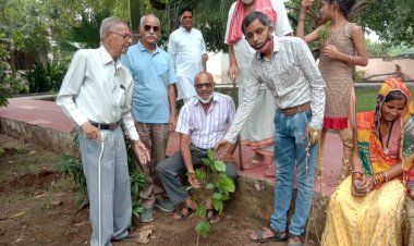 सुभाष नगर पार्क में लगाए पेड़ पौधे