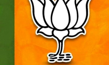 भाजपा ओबीसी मोर्चा की जिला कार्यकारिणी घोषित, 14 पदाधिकारी किए सम्मिलित