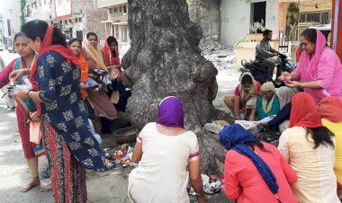 सिन्धी समाज ने बड़े हर्षोल्लास से मनाया गोगड़ा (नागपंचमी) पर्व