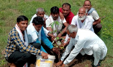 विद्यालय परिसर में पौधारोपण कर दिया स्वच्छता का संदेश