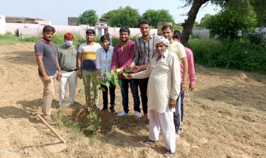 स्कूल परिसर व मैदान में लगाए 50 पौधे