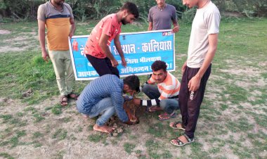 कालियास में युवा मण्डल ने गांव में सफाई अभियान चलाकर  खेल मैंदान में किया पौधारोपण